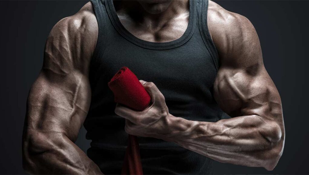 Bodybuilding With An Estrogen Blocker